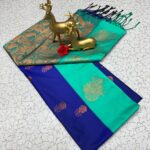 KGR Family collections